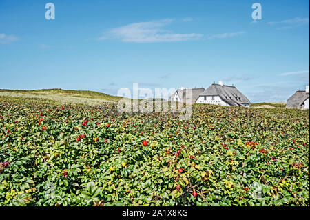 Haus "Kliffende" in Kampen auf Sylt Stockfoto