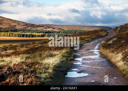 Schottische Landschaft. Wanderweg Loch Muick. Ballater, Aberdeenshire, Schottland, Großbritannien Stockfoto