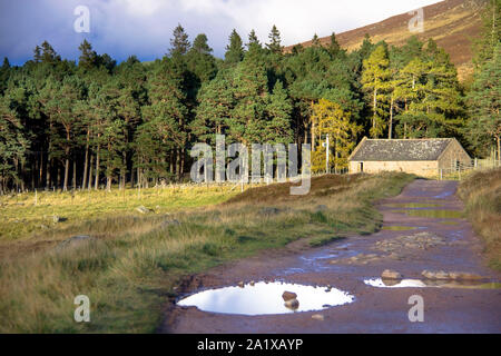 Schottische Landschaft. Wanderweg Loch Muick. Ballater, Aberdeenshire, Schottland, Großbritannien Stockfoto