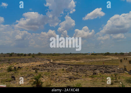 Einen schönen Himmel und einige Büffel gibt es bei kishor Kumar Denkmal am khandwa, Madhya Pradesh, Indien. Stockfoto