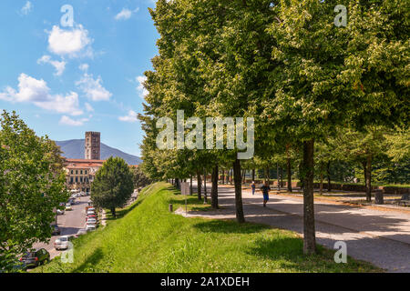 Blick auf die Mauern von Lucca mit Menschen und Touristen wandern und den Glockenturm der Basilika San Frediano an einem sonnigen Sommertag, Toskana, Italien Stockfoto