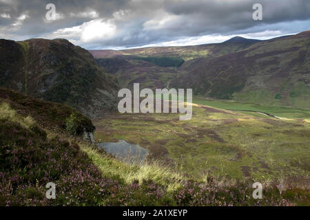 Carlochy, Craig Maskeldie und Mount scharf, in der Ferne. Angus, Schottland. Cairngorms National Park. Stockfoto