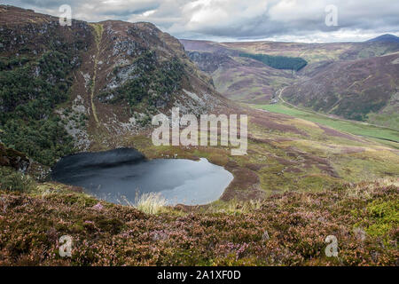 Carlochy, Craig Maskeldie und Mount scharf, in der Ferne. Angus, Schottland. Cairngorms National Park. Stockfoto