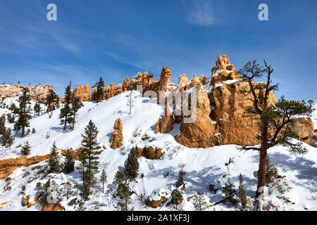 Schnee bedeckt Hoodoos im Bryce Canyon National Park Stockfoto