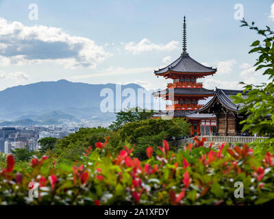 Japanischer Schrein mit Blick auf Kyoto mit roten Blumen vorne Stockfoto