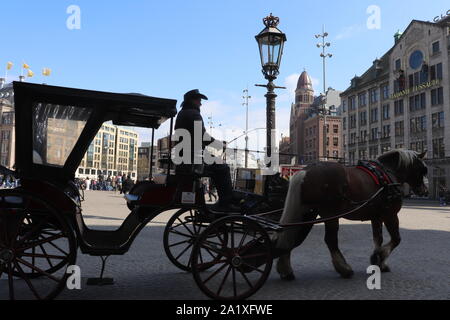 Kutsche am Amsterdamer Damplatz Stockfoto