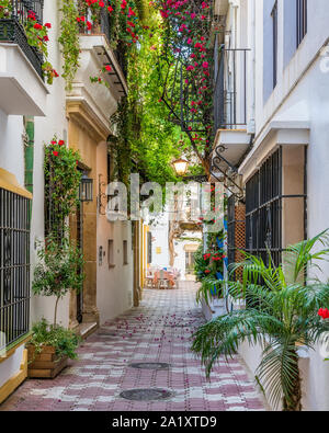 Eine malerische und Gasse in der Altstadt von Marbella, Provinz Malaga, Spanien. Stockfoto