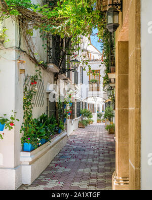 Eine malerische und Gasse in der Altstadt von Marbella, Provinz Malaga, Spanien. Stockfoto
