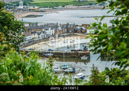 Hafen in Stonehaven. Aberdeenshire, Schottland Großbritannien Stockfoto