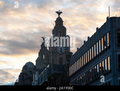 Türme des Royal Liver Building mit Leber Vögel gegen die Dämmerung Himmel in Pier Head in Liverpool Stockfoto