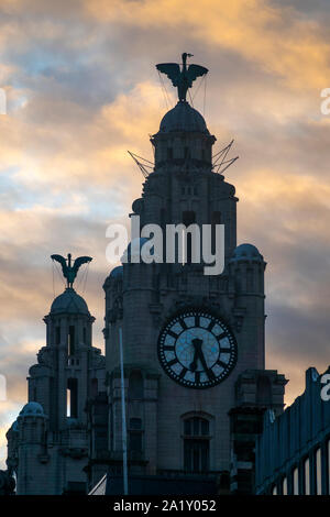 Türme des Royal Liver Building mit Leber Vögel gegen die Dämmerung Himmel in Pier Head in Liverpool Stockfoto