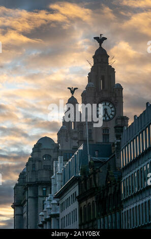 Türme des Royal Liver Building mit Leber Vögel gegen die Dämmerung Himmel in Pier Head in Liverpool Stockfoto