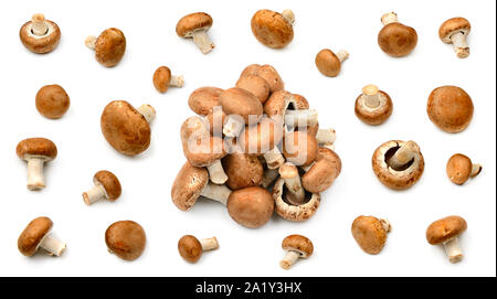 Sammlung Champignons mit verschiedenen Kamerawinkeln auf weißem Hintergrund Stockfoto