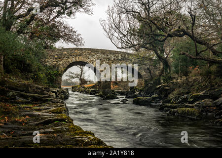 Die alte 17th Jahrhundert alte Weir Brücke und Bach bei der Sitzung der Gewässer im Killarney Nationalpark, Grafschaft Kerry, Irland Stockfoto