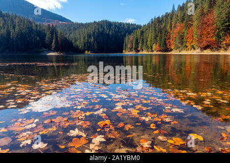 Perfekte Herbst Baum Reflexionen in See mit Blatt Stockfoto