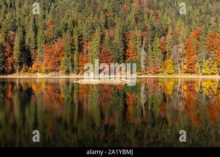 Perfekte Herbst Baum Reflexionen in See mit Blatt Stockfoto