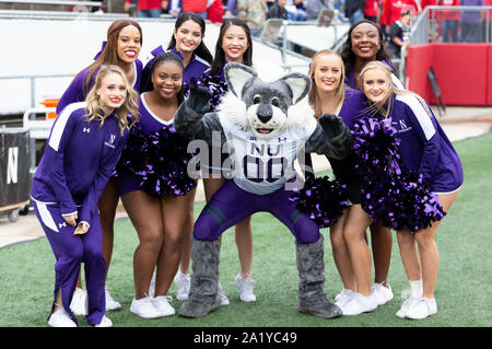 Madison, WI, USA. 28 Sep, 2019. Nordwestlichen Maskottchen posiert für ein Foto mit den Cheerleadern während der NCAA Football Spiel zwischen dem nordwestlichen Wildkatzen und die Wisconsin Badgers in Camp Randall Stadium in Madison, WI. Wisconsin besiegt Nordwestlichen 24-15. John Fisher/CSM/Alamy leben Nachrichten Stockfoto