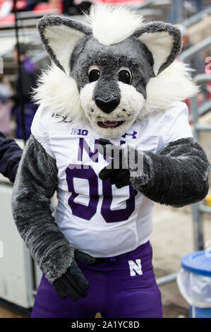 Madison, WI, USA. 28 Sep, 2019. Nordwestlichen Maskottchen während der NCAA Football Spiel zwischen dem nordwestlichen Wildkatzen und die Wisconsin Badgers in Camp Randall Stadium in Madison, WI. Wisconsin besiegt Nordwestlichen 24-15. John Fisher/CSM/Alamy leben Nachrichten Stockfoto