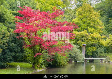Mit rot gefärbten Laub wächst am Ufer des Creek mit Holzbrücke im Herbst Park Baum Stockfoto