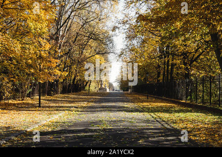 Leere Straße in der Nähe der Lazienki Park während der Herbstsaison, Warschau, Polen Stockfoto