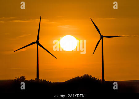 Windräder im Sonnenuntergang Stockfoto