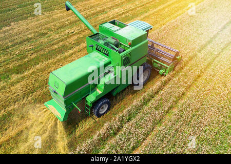 Luftaufnahme auf die Arbeit an dem grossen Weizenfeld kombinieren Stockfoto