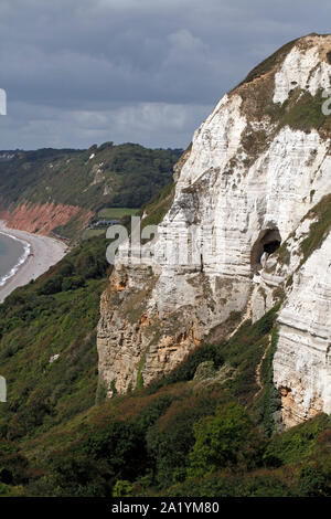 Höhle in der Felswand der Hooken Kreidefelsen, in der Nähe von Branscombe und Bier in der East Devon, Großbritannien Stockfoto