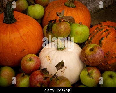 Kürbisse und Äpfel - Herbst. Stockfoto