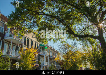 September 29, 2019 - Rosemont Borough, Montréal, Kanada: Montreal Wohnstraße und eine Sunburst durch ein Baum, der an einem Herbstmorgen Stockfoto