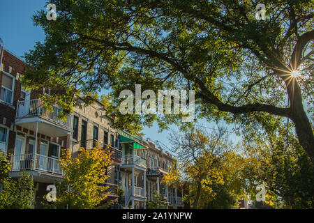 September 29, 2019 - Montréal, Québec, Kanada: Montreal Häuser urbanen Landschaft und eine Sunburst durch einen Baum von einem Herbst Tag Stockfoto