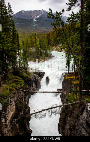 Sunwapta Falls, Jasper Nationalpark, Alberta, Kanada Stockfoto