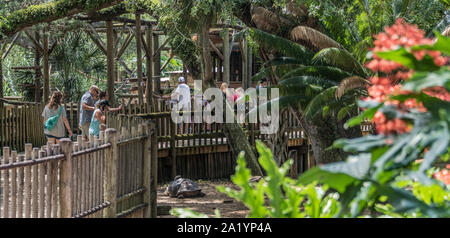 Die Menschen genießen den Sommer Besuch der St. Augustine Alligator Farm Tierpark auf Anastasia Island, St. Augustine, Florida. (USA) Stockfoto