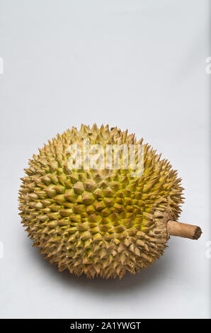 Nahaufnahme, geschossen von einem Ungeöffneten ganze Durian auf die weiße Fläche im Hochformat Stockfoto