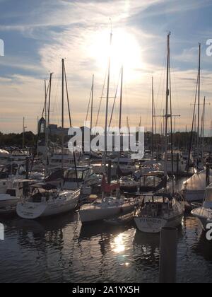 Liberty Landing Marina in Jersey City, NJ. im Liberty State Park auf dem Hudson River, ist die Heimat von Hunderten von Wasserfahrzeugen. Stockfoto