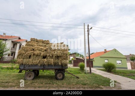 Stroh Warenkorb stehend, beladen mit Heu, stehen neben einem Feld, vor Häusern und Bauernhöfen, in Uljma, einer kleinen serbischen Dorf in der Vojvodina, die Stockfoto