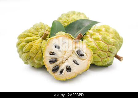 Annona oder Custard Apple auf weißem Hintergrund Stockfoto