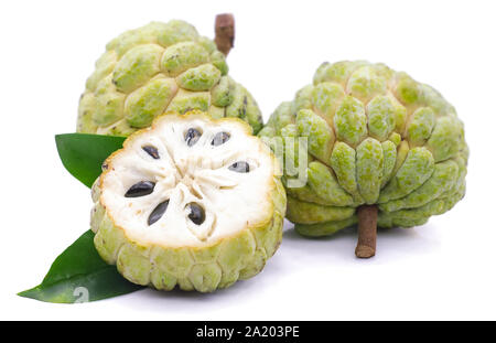 Annona oder Custard Apple auf weißem Hintergrund Stockfoto