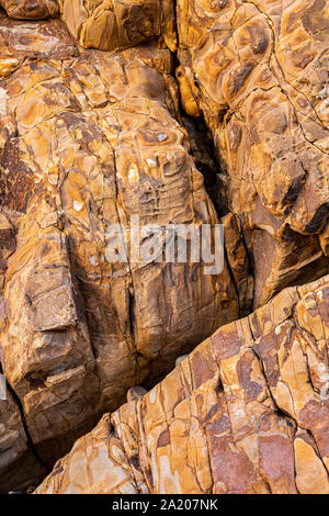 Mudstone und Sandstein an Widemouth Bay an der Atlantikküste von Nord Cornwall Stockfoto