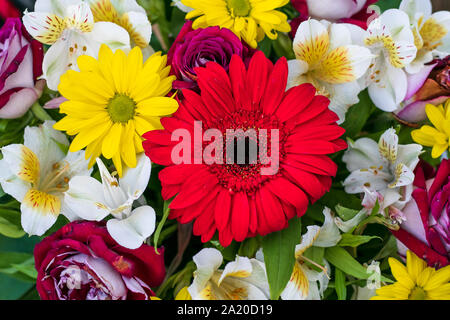 Blumenstrauß aus frischen Blumen. Blumenschmuck. Floral background, Muster. Farbenfrohe Grußkarte. Ansicht von oben. Stockfoto