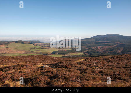 Blick vom Gipfel des Lotus Hill, Blick nach Süden in Richtung Osten nach Criffel, Neu-isenburg höchsten Hügel, Dumfries und Galloway Stockfoto