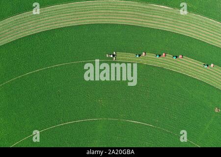 (190930)-BEIJING, Sept. 30, 2019 (Xinhua) - Luftaufnahme auf Sept. 20, 2019 zeigt Erntemaschinen zuschneiden Alfalfa in Ar Horqin Banner der North China Autonome Region Innere Mongolei. (Xinhua / Liu Lei) Stockfoto