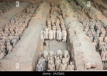 Reihen von Terracotta Krieger in Halle 1 in Xi'an Stockfoto