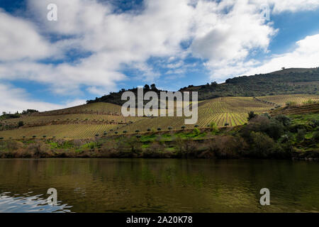 Einen malerischen Blick auf den Fluss Douro und Tal mit terrassierten Weinberge in der Nähe der Pinhao Dorf, in Portugal. Stockfoto