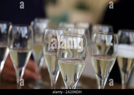 Glas Gläser mit Prosecco - Einrichten der Gläser auf dem Tisch im Restaurant zu einem Aperitif Stockfoto