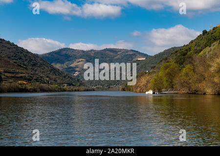 Einen malerischen Blick auf den Fluss Douro und terrassierten Weinbergen in der Nähe des Tua Dorf, in Portugal Stockfoto