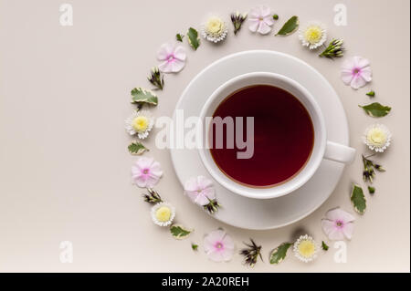 Duftende Kräuter Tee in eine weiße Keramik Tasse und Untertasse. Blume Kreis Muster auf einem beigen Hintergrund. Blumen Tee Konzept. Teebeutel. Ansicht von oben Stockfoto