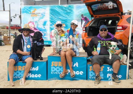 Huntington Beach, Kalifornien, USA. 28. September, 2019. Die Gewinner des Owner-Launched Division sind Ryder, ein schwarzer Labrador mit Eigentümer (Platz 2), Carson, ein Terrier mix, ist vom Eigentümer Jill Nakano (Platz 1), und der Glaube, die amerikanische Grube Stier Terrier gehalten, mit Eigentümer James Wand (Platz 3), bei der 11. jährlichen Surf City Surf Dog Wettbewerb bei Huntington Hundestrand in Huntington Beach, Kalifornien am 28. September 2019 statt. Stockfoto