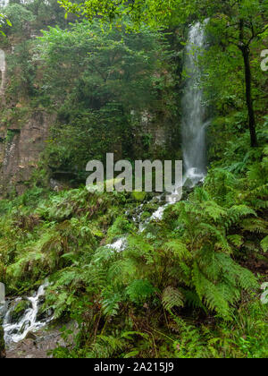 Beautiful South Wales Vauvillers fällt Wasserfall Felsen Nass-Flusses Neath/Afon Nedd - Wales Stockfoto