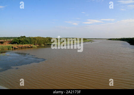 Die St. Lucia Estuary, Anlegestelle auf der Bank mit Blick auf den Fluss, Distrikt Umkhanyakude, KwaZulu Natal, Südafrika. Stockfoto