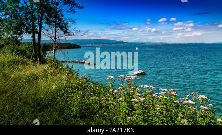 Landschaft Blick auf den Genfer See (Genfer See), Segeln, Boote, Berge und blauer Himmel mit weißen Wolken, Schärfenebene im Zentrum. Excenevex Stadt, Frankreich. Stockfoto